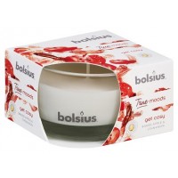 Свеча ароматическая в стекле запеченное яблоко и корица Bolsius (36084 GCY)