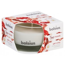 Свеча ароматическая в стекле запеченное яблоко и корица Bolsius (36084 GCY)