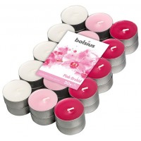 Свеча чайная ароматизированная Орхидея Bolsius 1.5 см 30 шт (p15-30-170Б ORC)