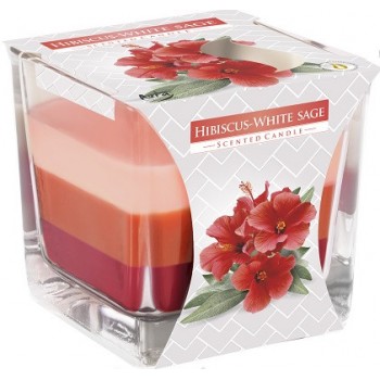 Свеча ароматизированная трехцветная гибискус - белый шалфей Bispol 8 см (snk80-356)