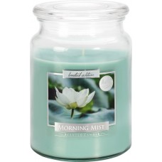 Свеча ароматизированная Bispol Утренняя роса 10х14 см 100 часов(snd99-252)