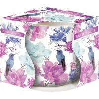 Ароматична свічка дотик природи 7 см (sn71s-49)