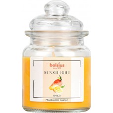 Свеча ароматизированная Bolsius Манго 13 см (snd79-100)