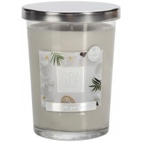 Аромасвеча SPA ZEN garden Bispol 12 см snp91-901