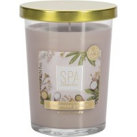 Ароматична свічка SPA Japanese garden 12 см (snp91-902)