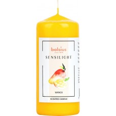 Свеча ароматическая манго Bolsius 5х11 см 50/110-101Б (3210)