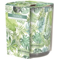 Свічка ароматизована в склі Bispol Тропіки 7,8 см (sn72s-20)