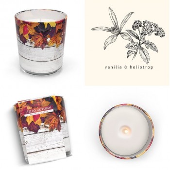 Свеча осень ароматизированная в стекле 7,8 см sn72s-43