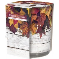 Свеча осень ароматизированная в стекле 7,8 см sn72s-43